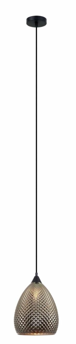 CLA PENDANT ES Chrome (Glass) ELLIPSE w/segments OD225mm | RICTUS4